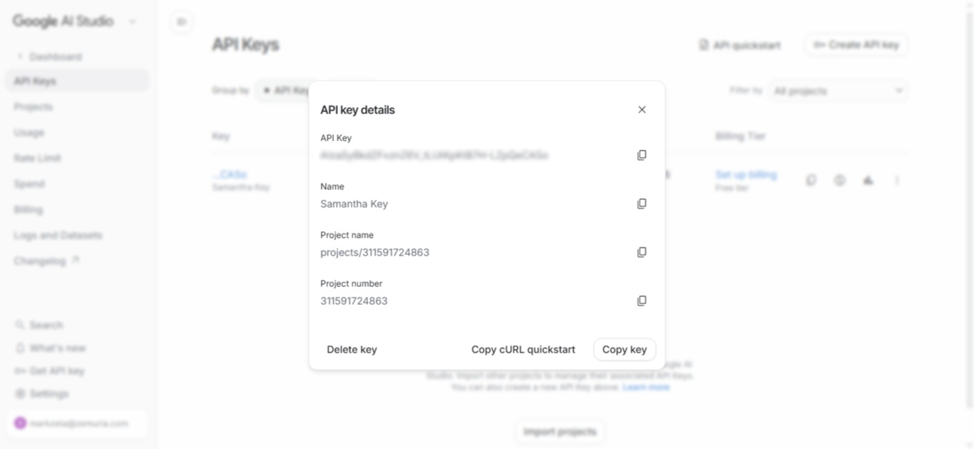 API key created